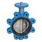 Butterfly valve Type: 6430 Ductile cast iron/Stainless steel Bare stem Lug type